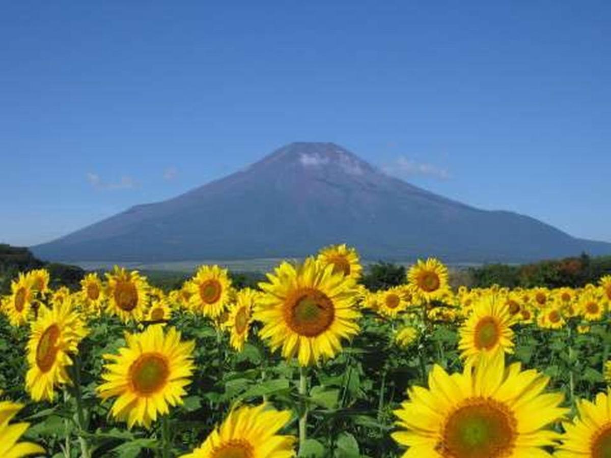 Fuji Matsuzono Hotel Yamanakako Extérieur photo